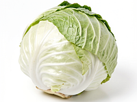 White cabbage (fresh)