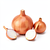 Shallot (shallots)
