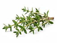 Świeża gałązka tymianku do dekoracji (opcjonalnie)