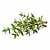 Fresh sprig of thyme for decoration (optional)