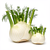 Fennel (bulb)