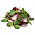 Mieszanka sałat (np. radicchio + młody szpinak)