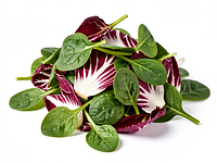 Mieszanka sałat (np. radicchio + młody szpinak)