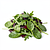 Mieszanka sałat (baby spinach i rukola zastępującą rukolę? użyj mixu zimowego)
