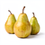 Pear (Conference)