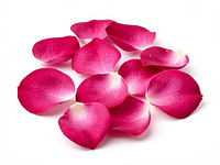 Edible rose petals