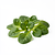 Lamb's lettuce (mâche)