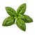 Fresh basil (leaves)