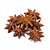 Star anise