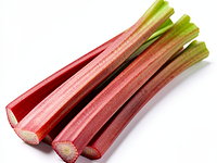 Fresh rhubarb
