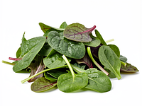 Mixed salad (winter leaves)