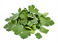 Fresh coriander (chopped)
