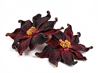 Dried hibiscus (flower)