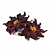 Dried hibiscus (flower)
