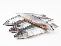 Matjes herring (fillets)