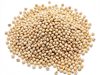 Pearl barley