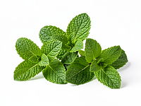 Fresh mint (for decoration) - optional