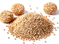 Barley pearls for coating