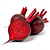 Fresh red beet