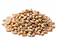 Barley groats (pearl barley)