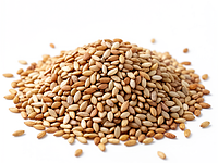 Toasted sesame seeds