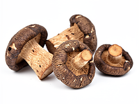 Dried porcini mushrooms