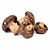 Dried porcini mushrooms