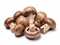 Mixed forest mushrooms (fresh)