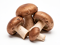 Leśne grzyby (świeże, np. podgrzybki/pieczarki leśne)