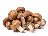 Mixed forest mushrooms (fresh, cleaned)