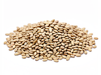 barley groats