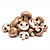 Mixed forest mushrooms (fresh)