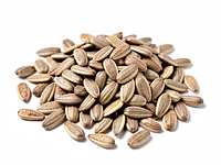 Roasted sunflower seeds
