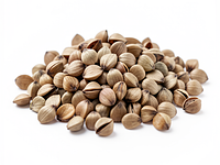 Raw buckwheat groats