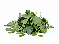 Świeża kolendra (posiekana)