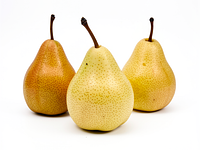 Pear (hard, for pickling)