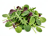 Mix sałat (np. rukola, baby spinat, roszponka)