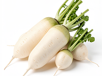 Daikon (Japanese radish)