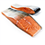Salmon fillet with skin