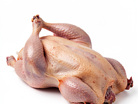Duck (whole)