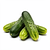 Cucumber (fresh, for pickling)