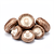 Fresh shiitake
