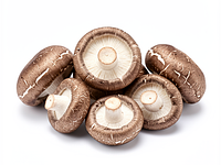 Fresh shiitake
