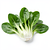 Pak choi