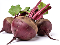 Raw beetroot