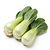 Pak choi (bok choy)