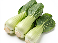 Pak choi (bok choy)