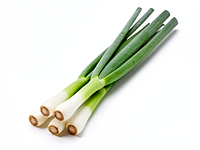 Green onion (scallion)