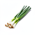 Green onion (scallion)