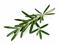 Gałązka rozmarynu świeżego (opcjonalnie)
